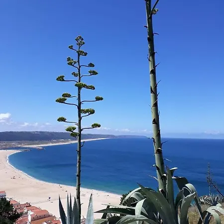 Refugio Mar